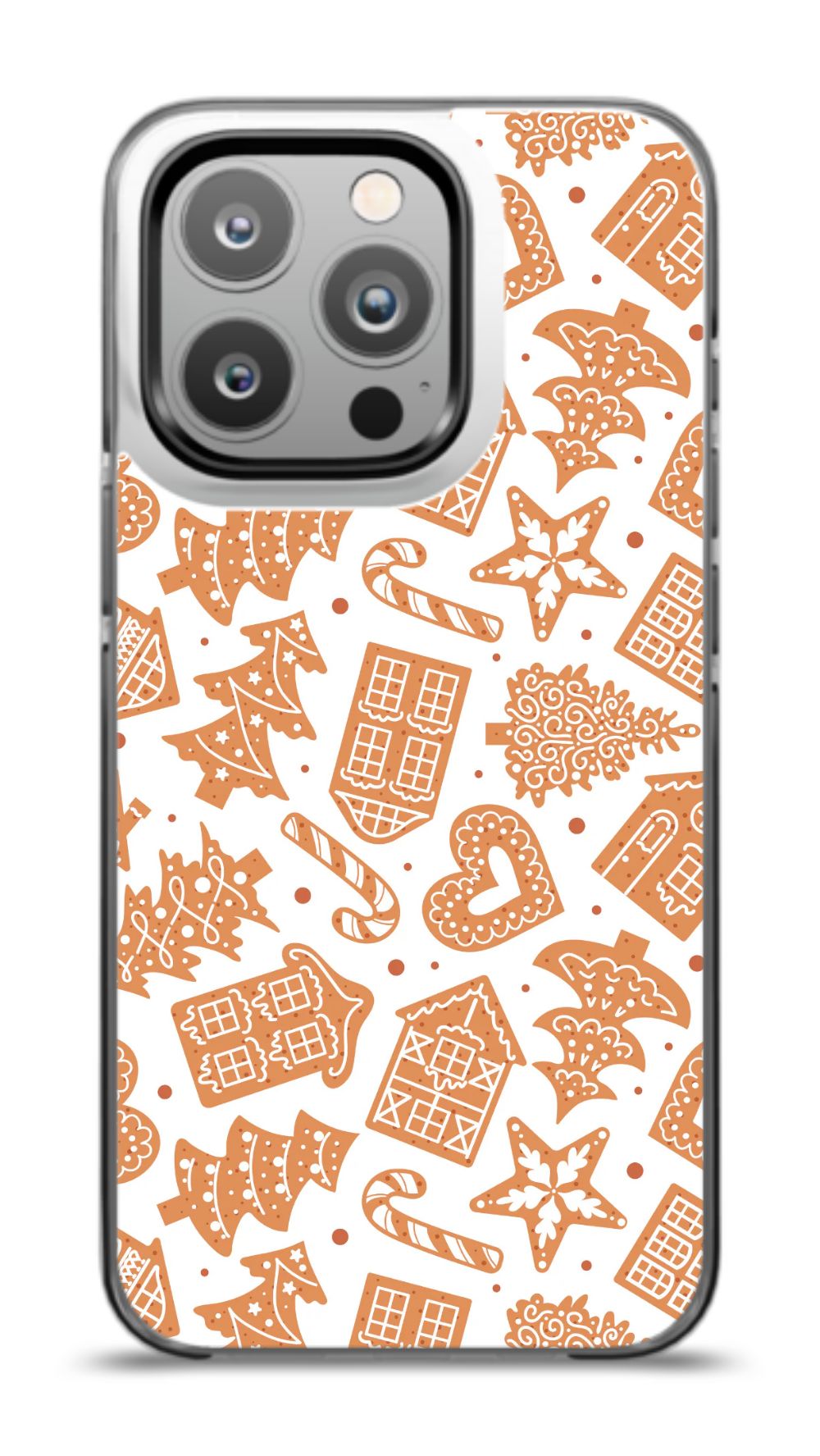 Gingerbread Delight Case